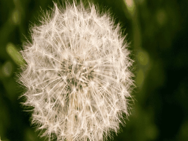 自制实验试管条想做试管晚上上课做试管英文缩写